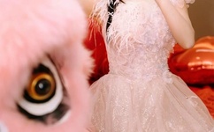 仙踪林最新视频入口-欢迎您贰佰